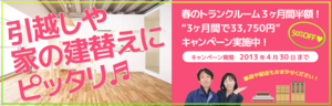 2013-campaign-haru-page