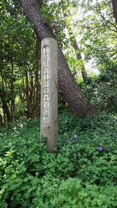 新潟県森林浴の森百選