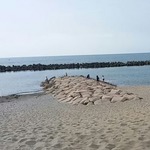 関屋浜海水浴場